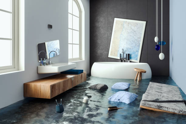 Best Ceiling water damage repair  in Laurel Park, NC