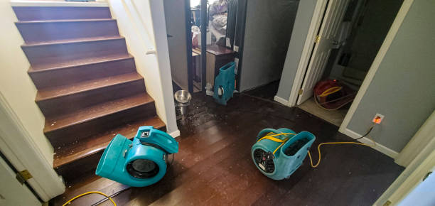 Best Local water damage restoration  in Laurel Park, NC