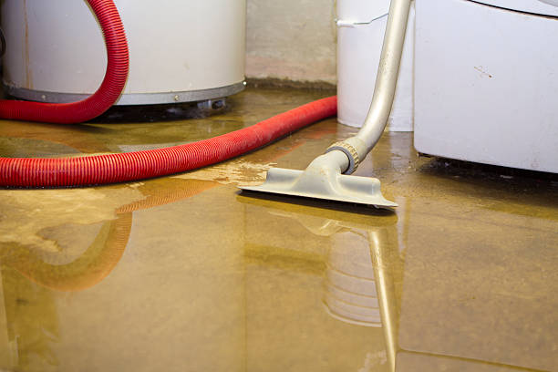 Best Water damage cleanup near me  in Laurel Park, NC