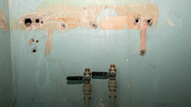 Best Residential water damage restoration  in Laurel Park, NC