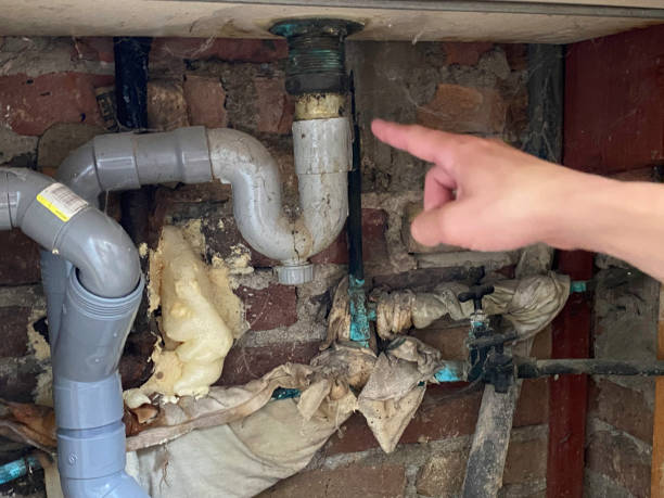 Best Flood damage cleanup  in Laurel Park, NC