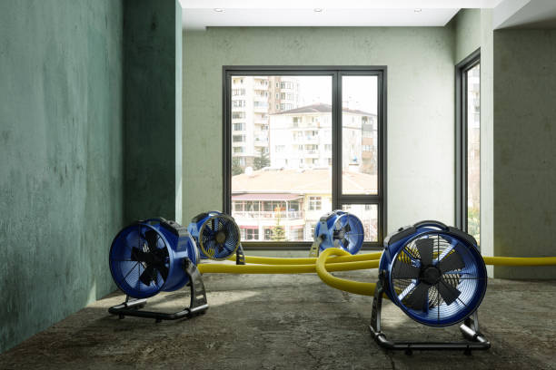Best Water damage restoration near me  in Laurel Park, NC